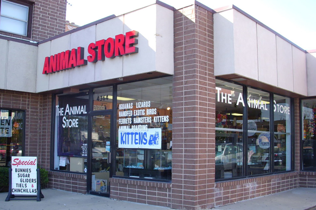 animal tour store