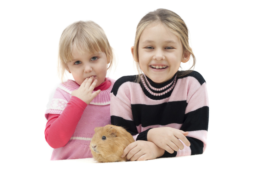 Girls w:guinea pig