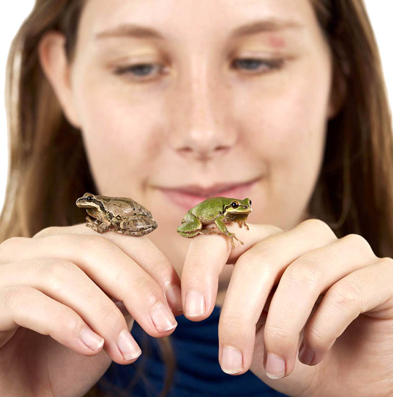 Woman with Frogs1 Woman with Frogs