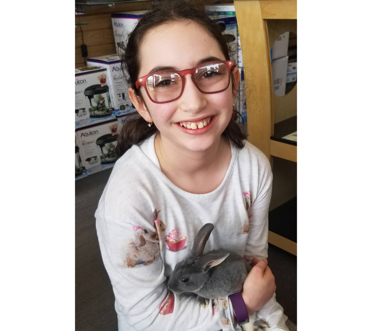 The Animal Store Wordless Wednesday Mini Rex Rabbit and Amy