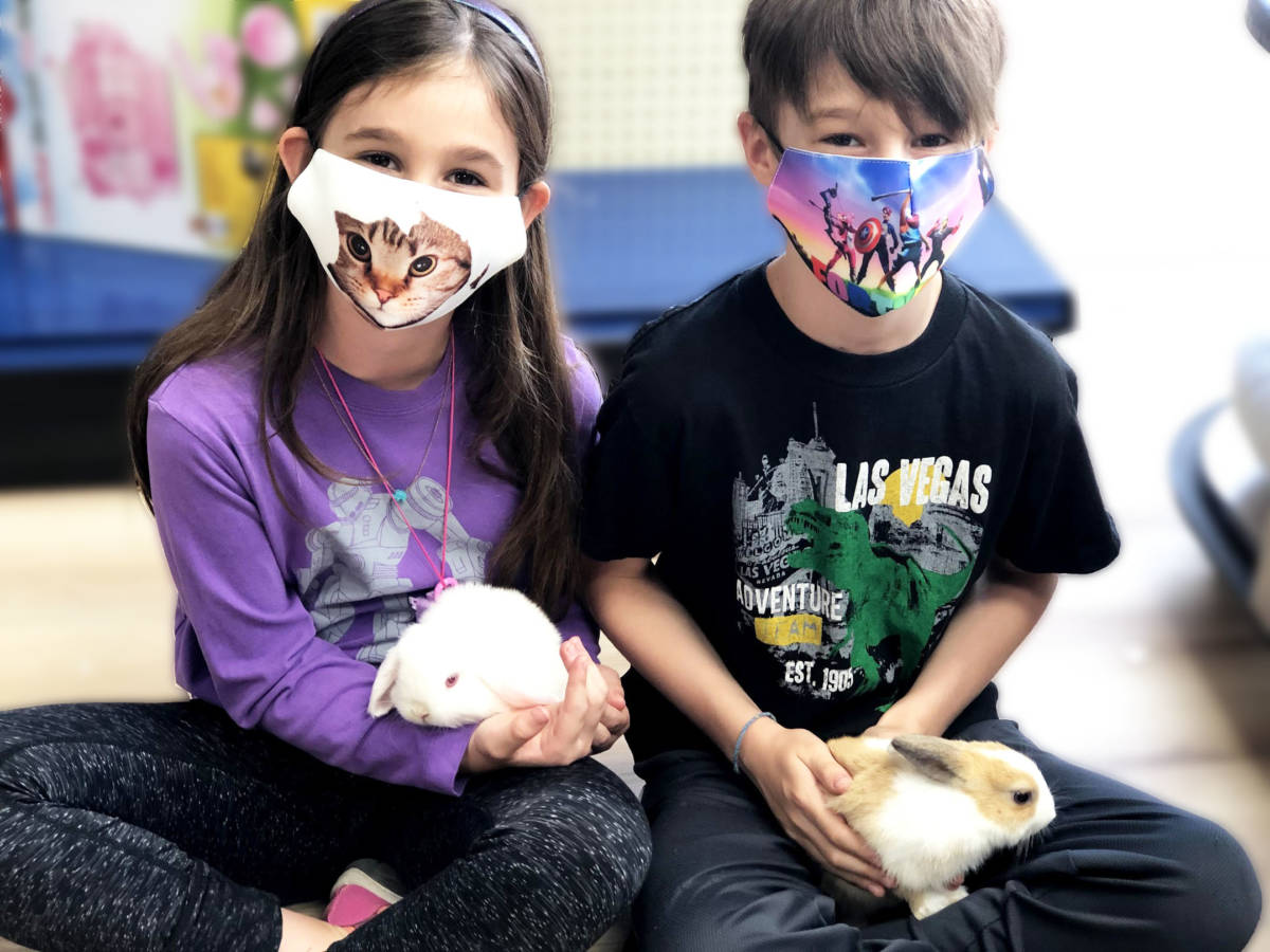 Bunnies - happy pet owners