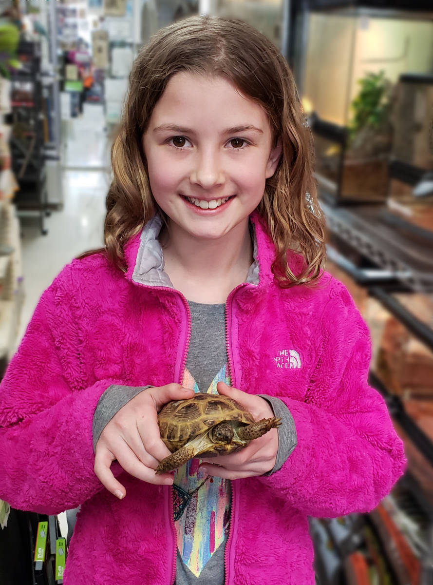The Animal Store Izzy and Russian Tortoise