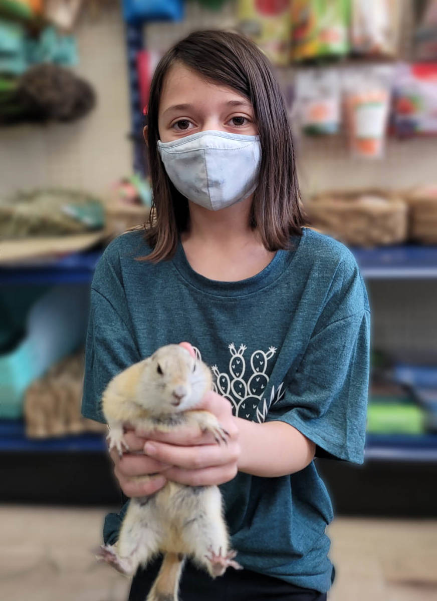 The Animal Store Mia and Richardson Ground Squirrel
