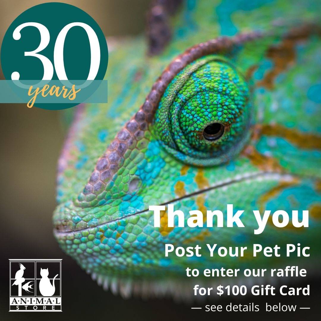 The Animal Store Pet Photo Contest