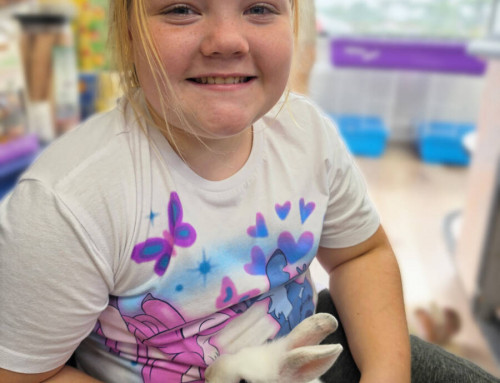 Sophia and Her New Pet Rabbit