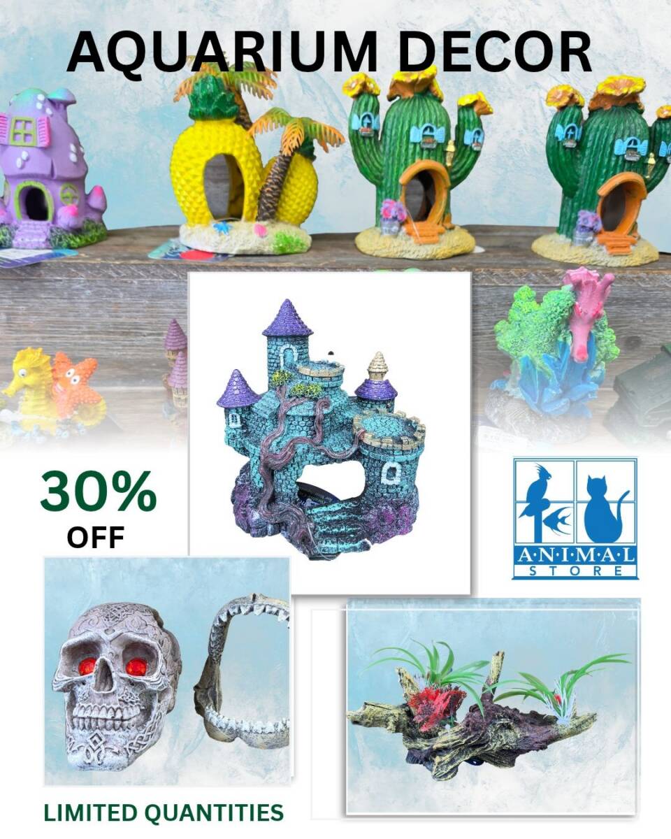 30% Off red-dot aquarium ornaments at The Animal Store